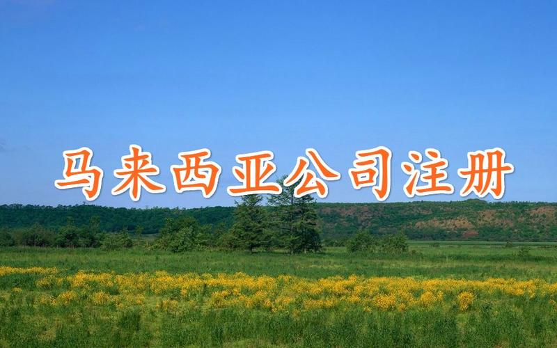 上海登尼特企业登记代理